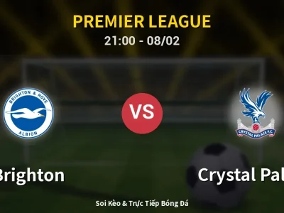 🔴 Trực Tiếp: Brighton 0-0 Crystal Palace – Link Xem Premier League (Full HD)