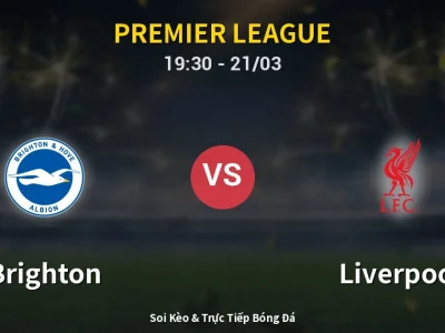 🔴 Trực Tiếp: Brighton 2-1 Liverpool – Link Xem Premier League (Full HD)