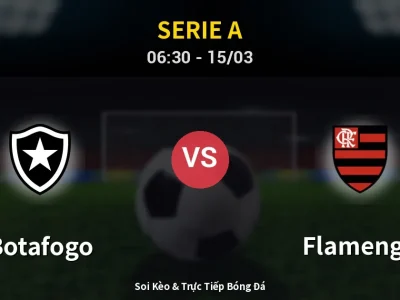Kết Quả: Botafogo 0-3 Flamengo – Highlight & Bàn Thắng | Serie A