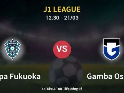 Kết Quả: Avispa Fukuoka 2-2 Gamba Osaka – Highlight & Bàn Thắng | J1 League