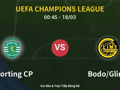 Kết Quả: Sporting CP 5-0 Bodo/Glimt – Highlight & Bàn Thắng | UEFA Champions League