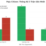 Thống kê Tài Xỉu Paju Citizen 2025