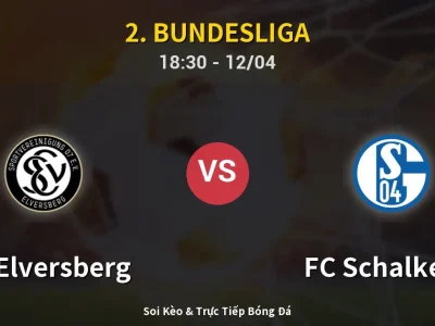 🔴 Trực Tiếp: SV Elversberg 1-1 FC Schalke 04 – Link Xem 2. Bundesliga (Full HD)