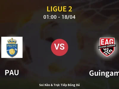 Kết Quả: PAU 2-1 Guingamp – Highlight & Bàn Thắng | Ligue 2