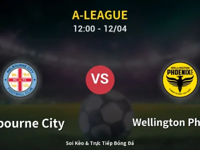 Kết Quả: Melbourne City 2-0 Wellington Phoenix – Highlight & Bàn Thắng | A-League