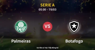 Palmeiras vs Botafogo 19/03