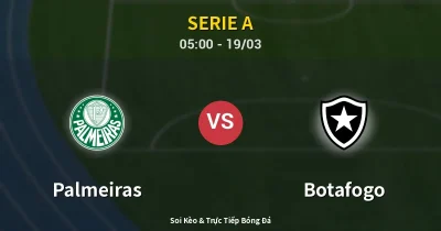 Palmeiras vs Botafogo 19/03